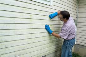 Affordable Siding Repair and Maintenance Services in Carmel By The Sea, CA